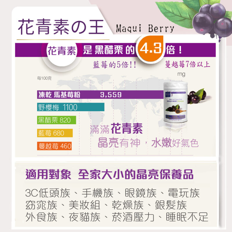 maqui berry 馬基莓粉挑選 智利酒果 亞積生技 護眼