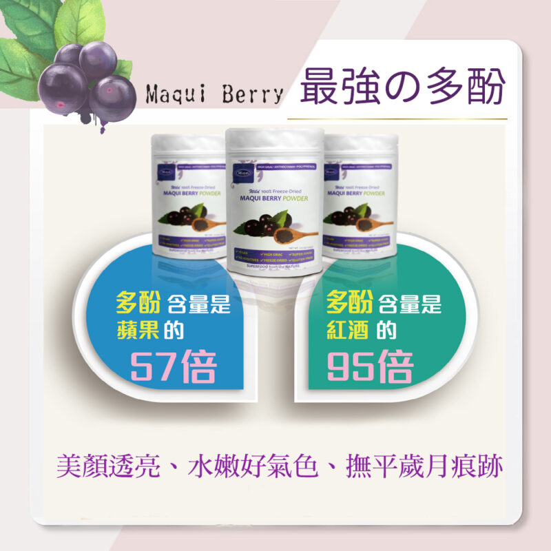 maqui berry 馬基莓粉挑選 智利酒果 亞積生技 護眼