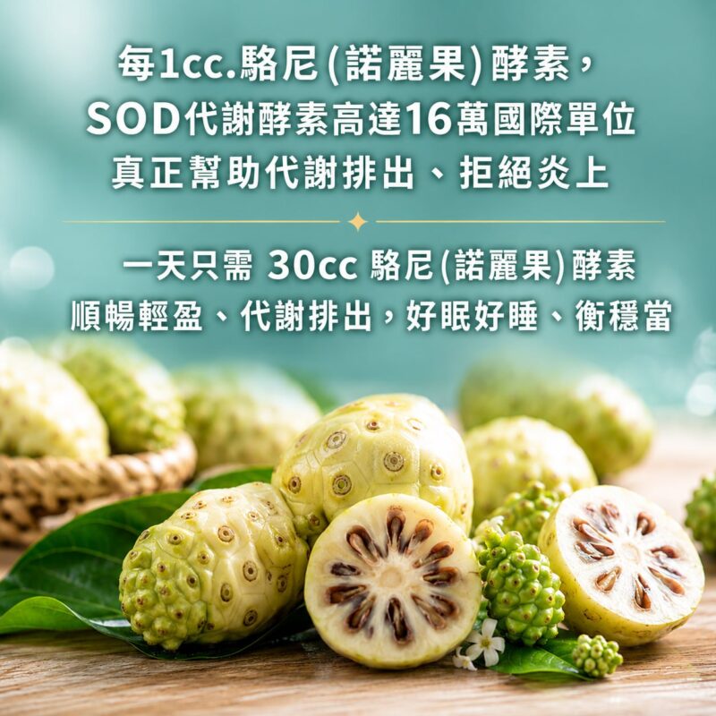 駱尼酵素 諾麗果 加強代謝 好睡好眠 仙女必備