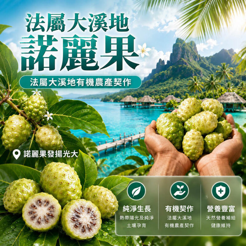 亞積 駱尼酵素 介紹 noni 諾尼果 上帝的禮物 抗癌 降血糖三高