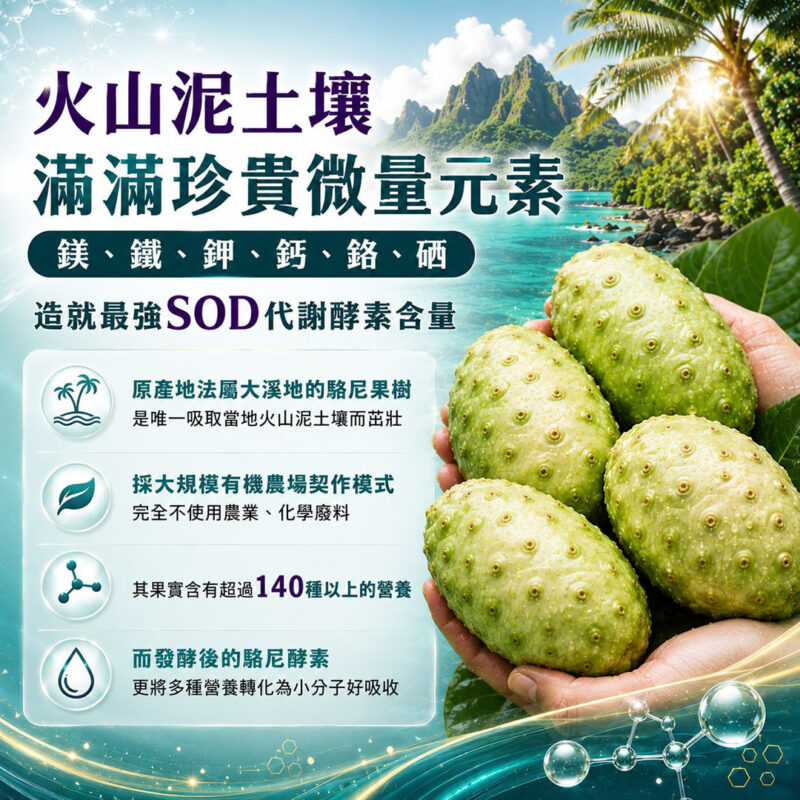 亞積 駱尼酵素 介紹 noni 諾尼果 上帝的禮物 抗癌 降血糖三高