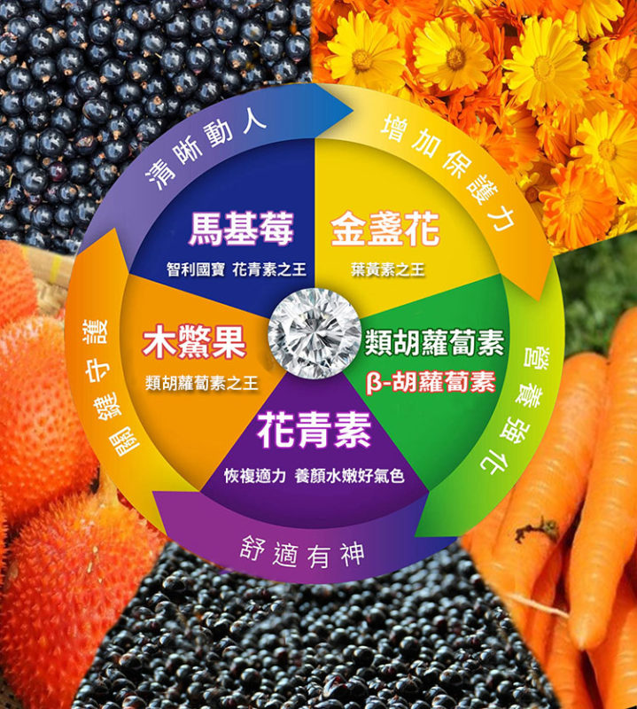 亞積 莓妙視界 軟糖 馬基莓 木鱉果 葉黃素 智利酒果